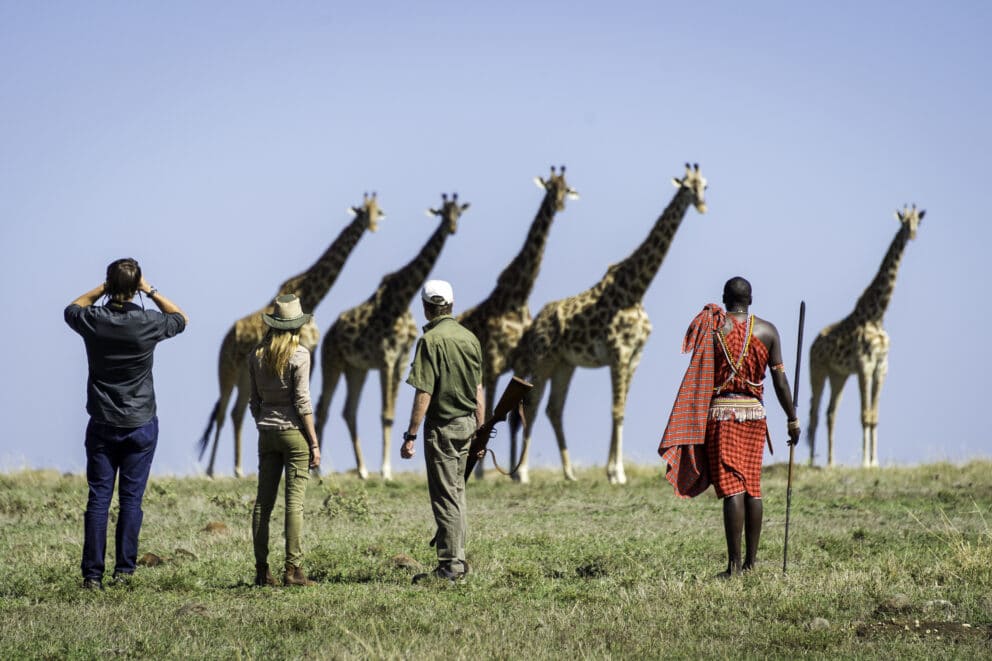 Tsavo East 